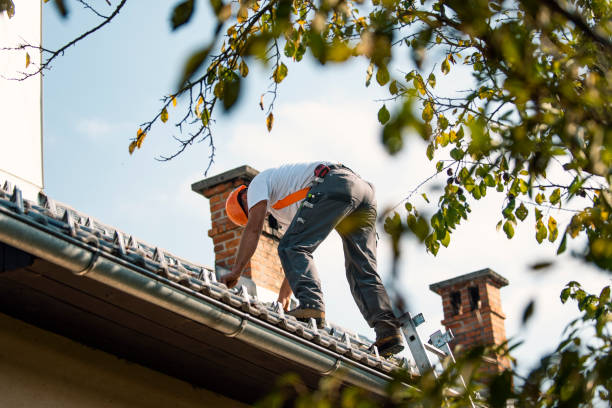 Best Roof Leak Repair  in Flushing, MI